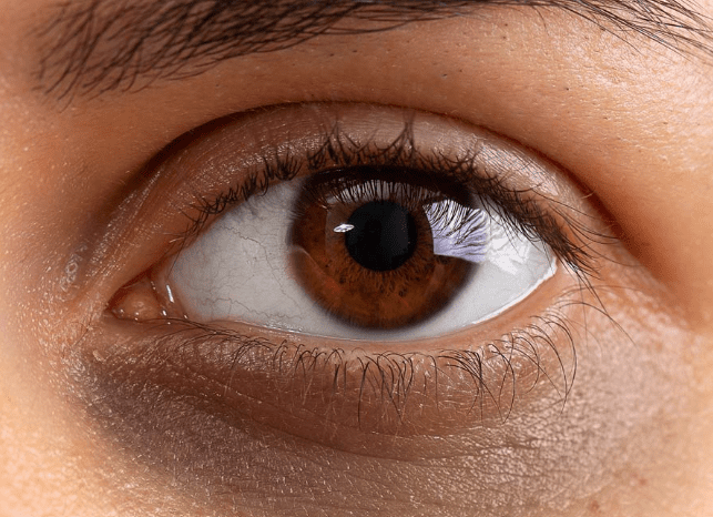 Close-up of a woman's brown eye, showcasing intricate details and natural beauty. Close-up of a woman's brown eye, showcasing intricate details and natural beauty.